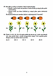 Příklady úloh – kategorie Cvrček, ročník 2016 (zdroj: matematickyklokan.net)