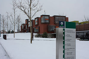 Open Gate Grammar and Primary School